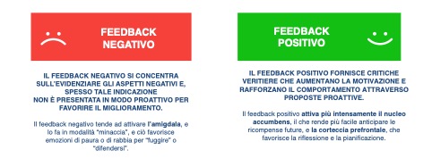 feedback allenatore